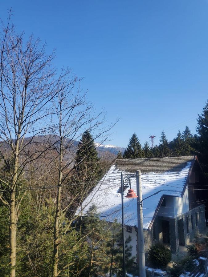 Casa Larisa - Wolves Apartment Sinaia Luaran gambar
