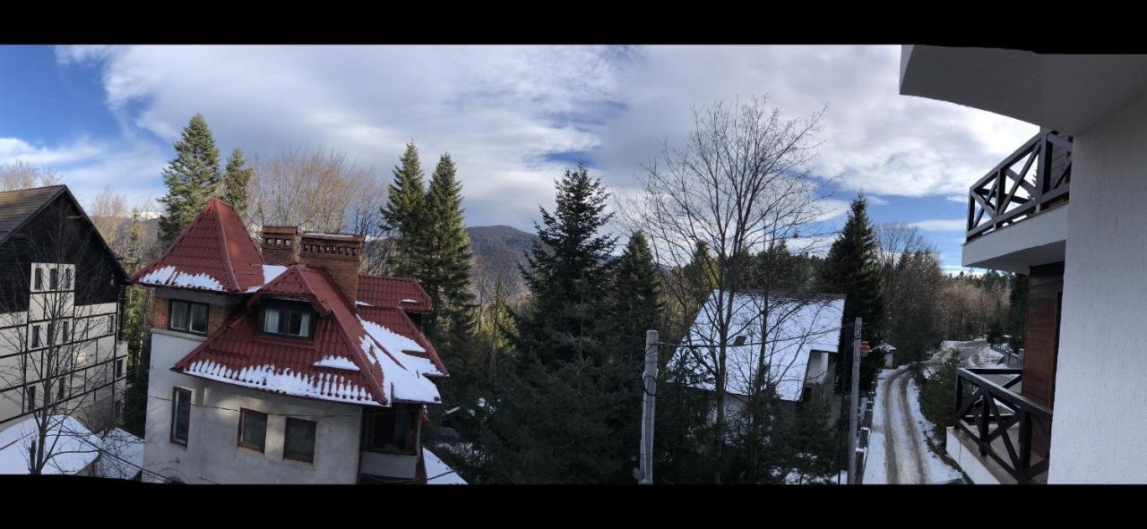 Casa Larisa - Wolves Apartment Sinaia Luaran gambar