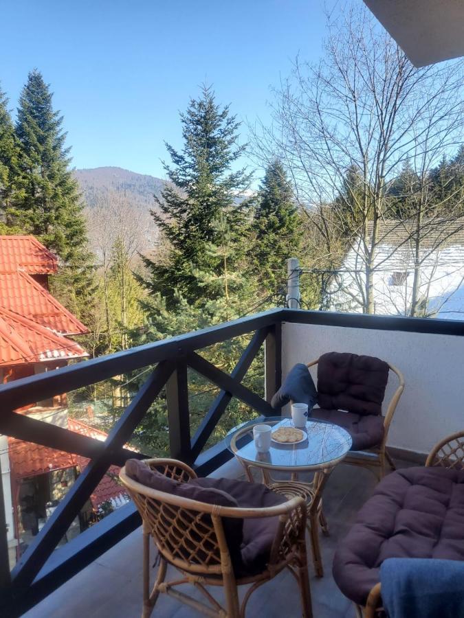 Casa Larisa - Wolves Apartment Sinaia Luaran gambar